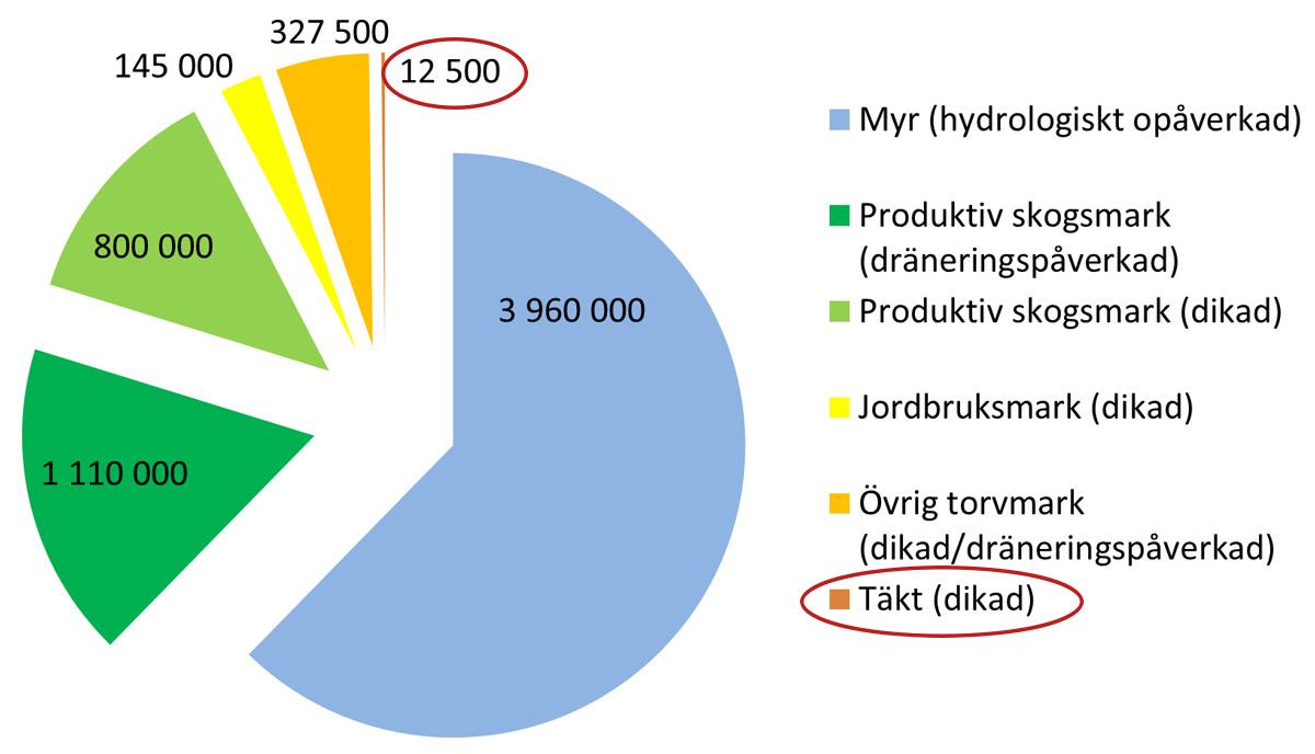 Torvtäkterna utgör 0,5 procent av Sveriges dikade torvmarker och Svensk torv känner sig orättvist utpekad som syndabock i klimatfrågan. Foto: Svensk torv