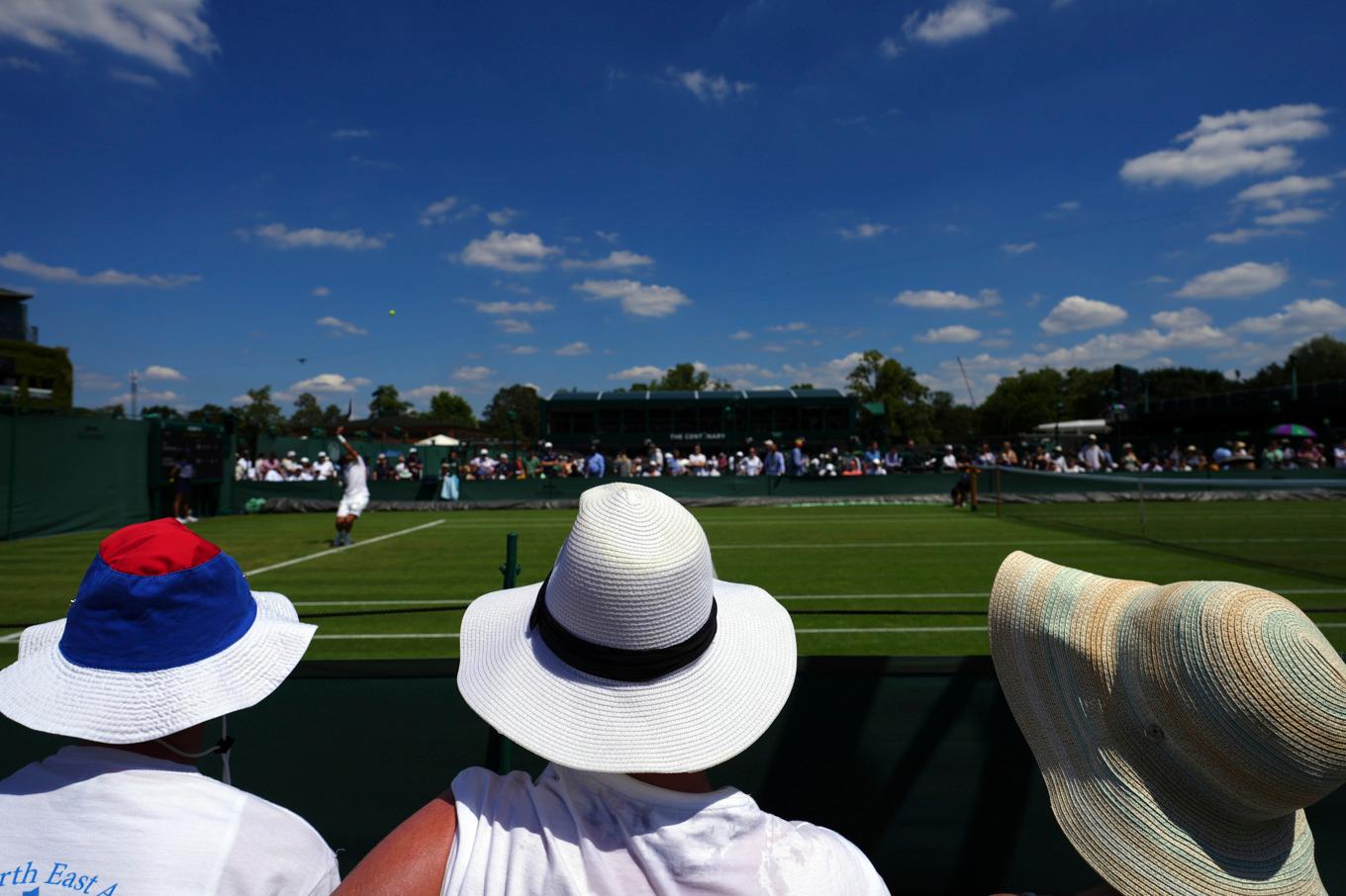 Åskådare med solhattar vid en av Wimbledons sidobanor. Foto: Kirsty Wigglesworth/AP/TT