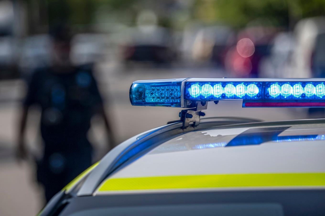 En person har blivit biten av en orm i Malmö. Arkivbild. Foto: Johan Nilsson/TT