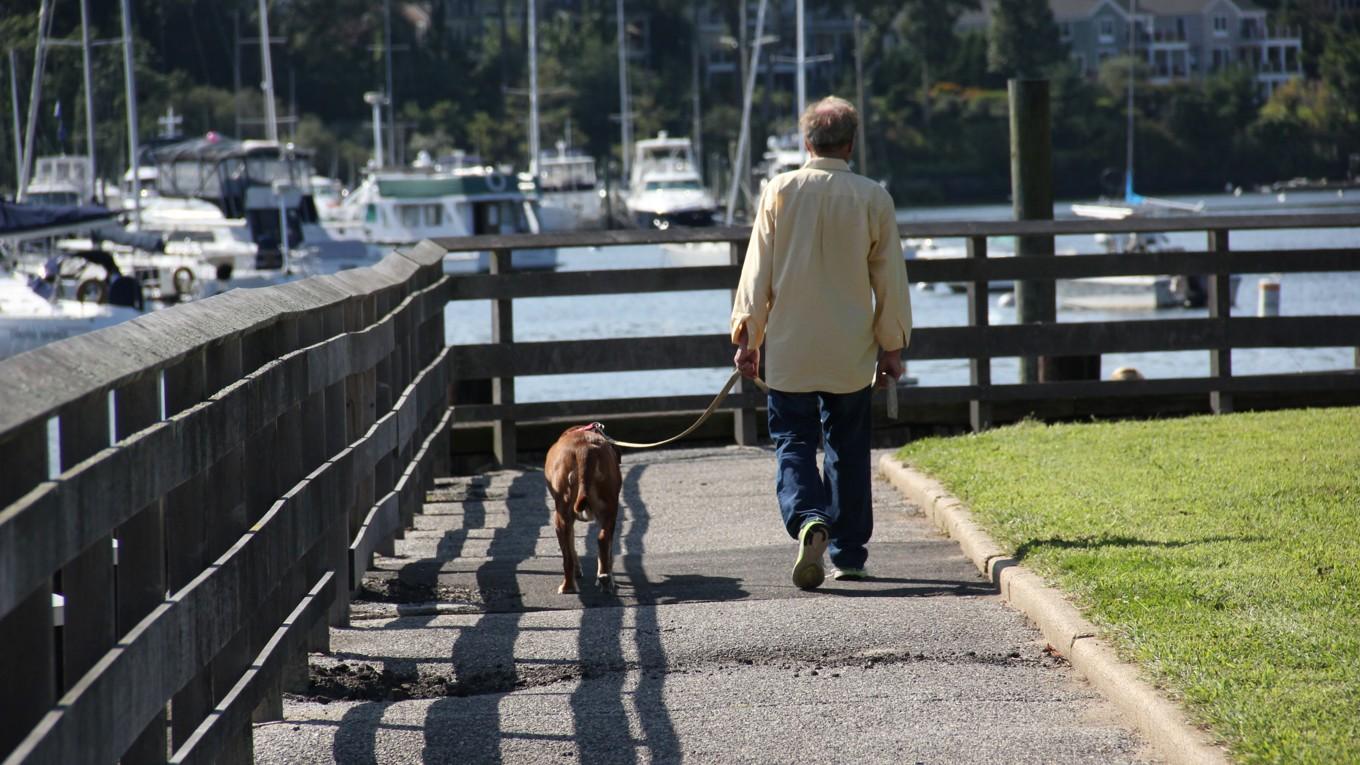 Fysisk aktivitet, som exempelvis promenader, kan ha en skyddande effekt mot stroke efter att man drabbats av en hjärtinfarkt. Foto: Gloria Kaye