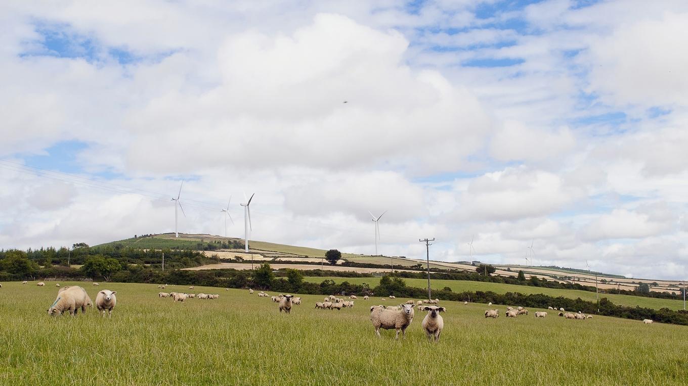 Vindkraftspark på Irland tvingas stänga tre turbiner som störde grannarna. Foto: Abo Energy