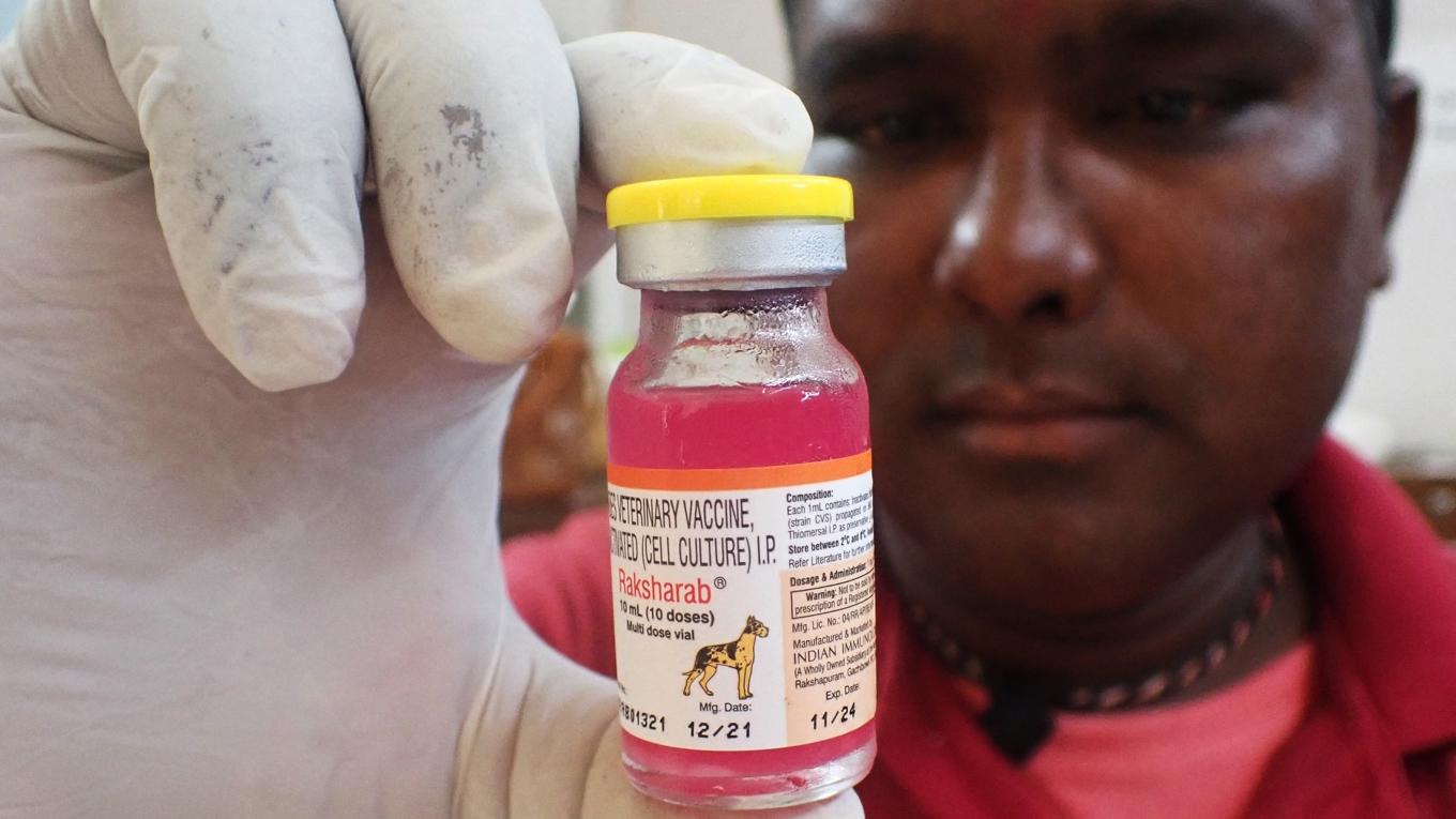 Rabies kan förebyggas med vaccin. Foto: Sam Panthaky/AFP via Getty Images