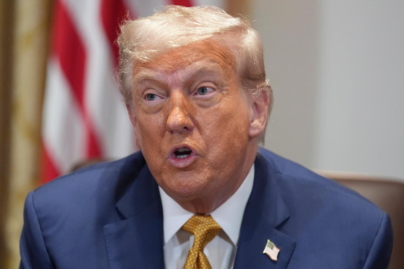 President Donald Trump säger att han vill satsa på USA:s inhemska kopparbrytning. Arkivbild. Foto: Evan Vucci/AP/TT