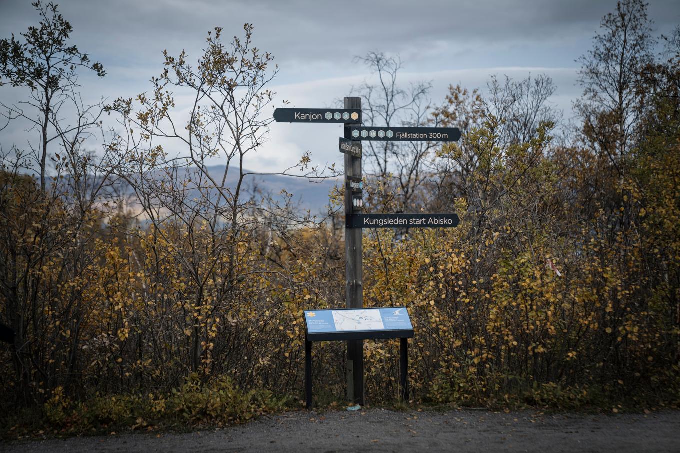Olyckan skedde i trakterna av Kårsavagge, i närheten av Abisko. Arkivbild. Foto: Anna Tärnhuvud/SVD/TT