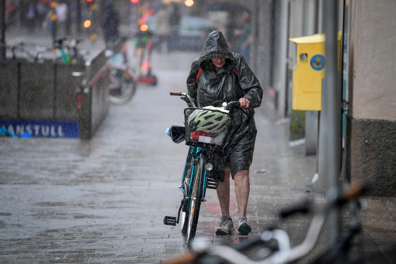 Från 15-tiden på fredagen väntas skyfall i flera län i södra Sverige. Arkivbild. Foto: Anders Wiklund/TT