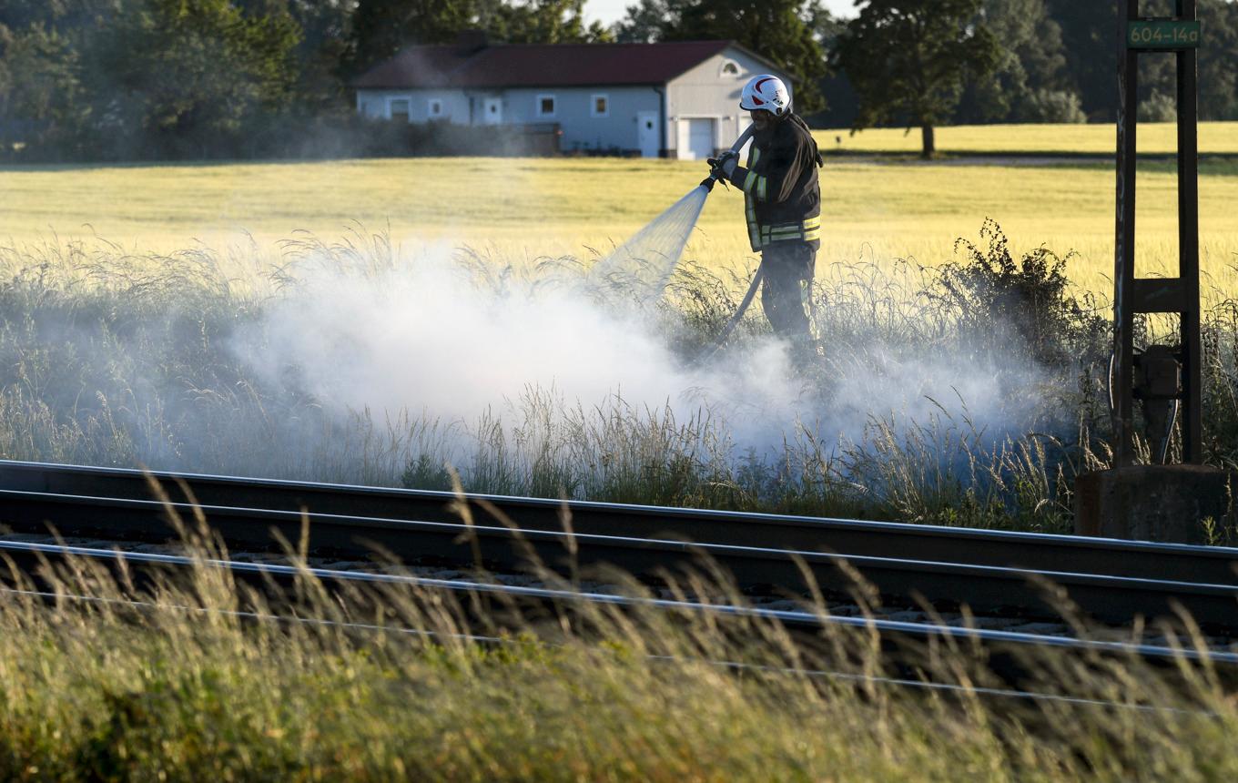 Den varma och torra marken i norr gör att risken för skogsbrand ökar. Tågen ska därför köra försiktigt – för att undvika gnistbildning. Arkivbild. Foto: Johan Nilsson/TT