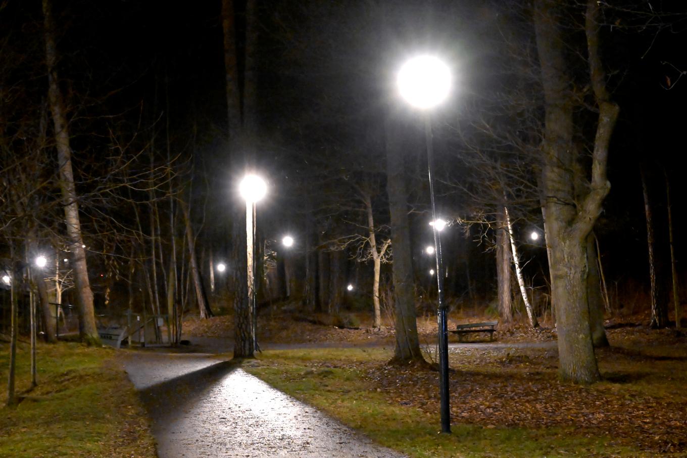 Våldtäkten ska ha skett vid en gångväg längs Nynäsvägen. Arkivbild. Foto: Janerik Henriksson/TT