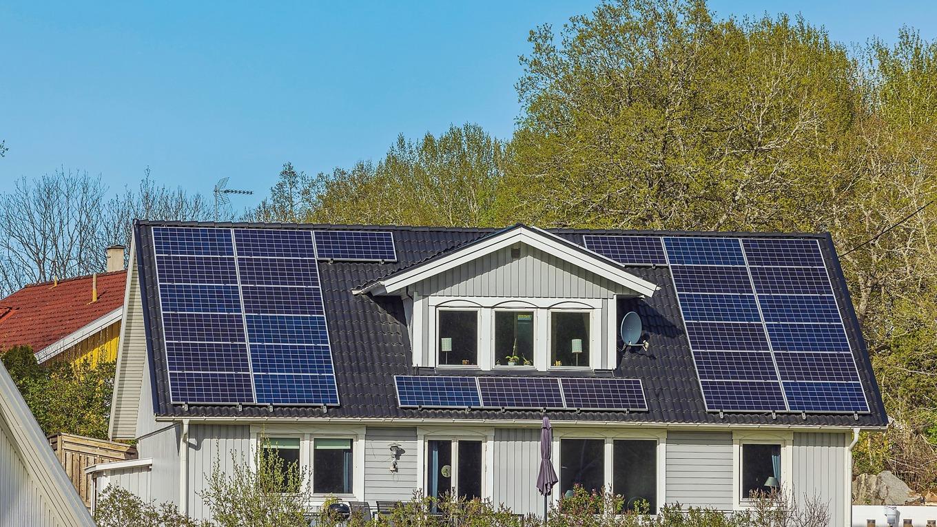 Ska vi alla bli elbönder nu? Foto: Shutterstock