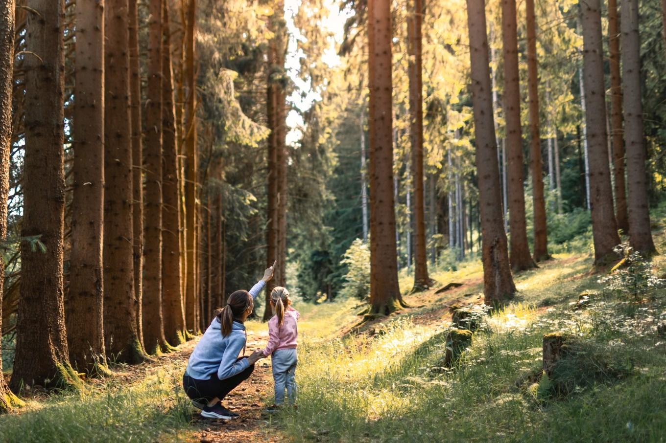 Ta chansen att forma en bättre vana i sommar. Foto: Shutterstock