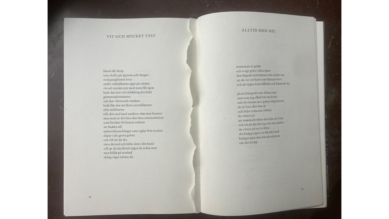 Kulturchefen upptäcker att han närt en orm i sitt hem. Bruno K. Öijers stympade diktsamling. Foto: Einar Askestad