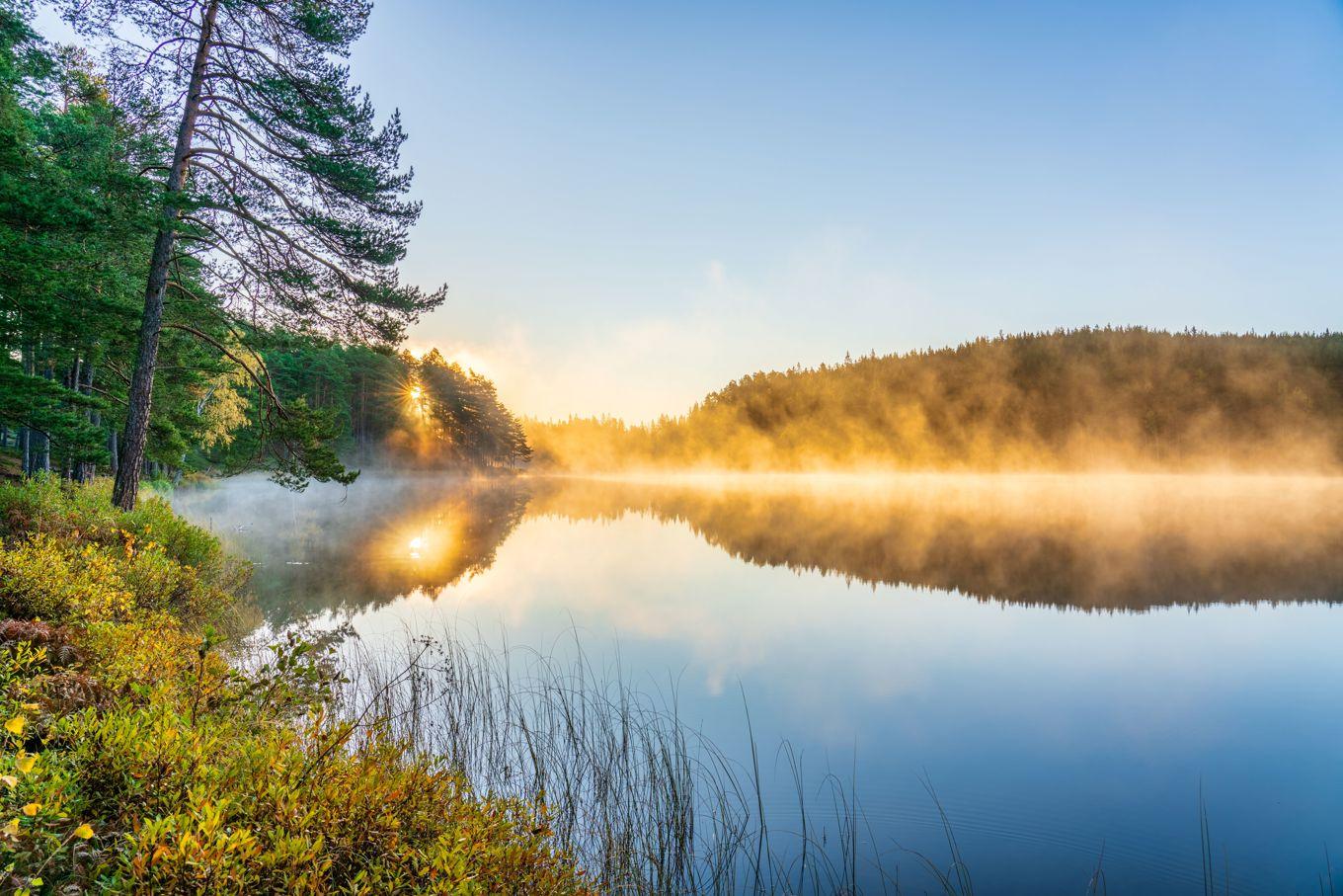 Varje tillfälle ger nya förutsättningar för kulningen. Foto: Pajor Pawel/Shutterstock