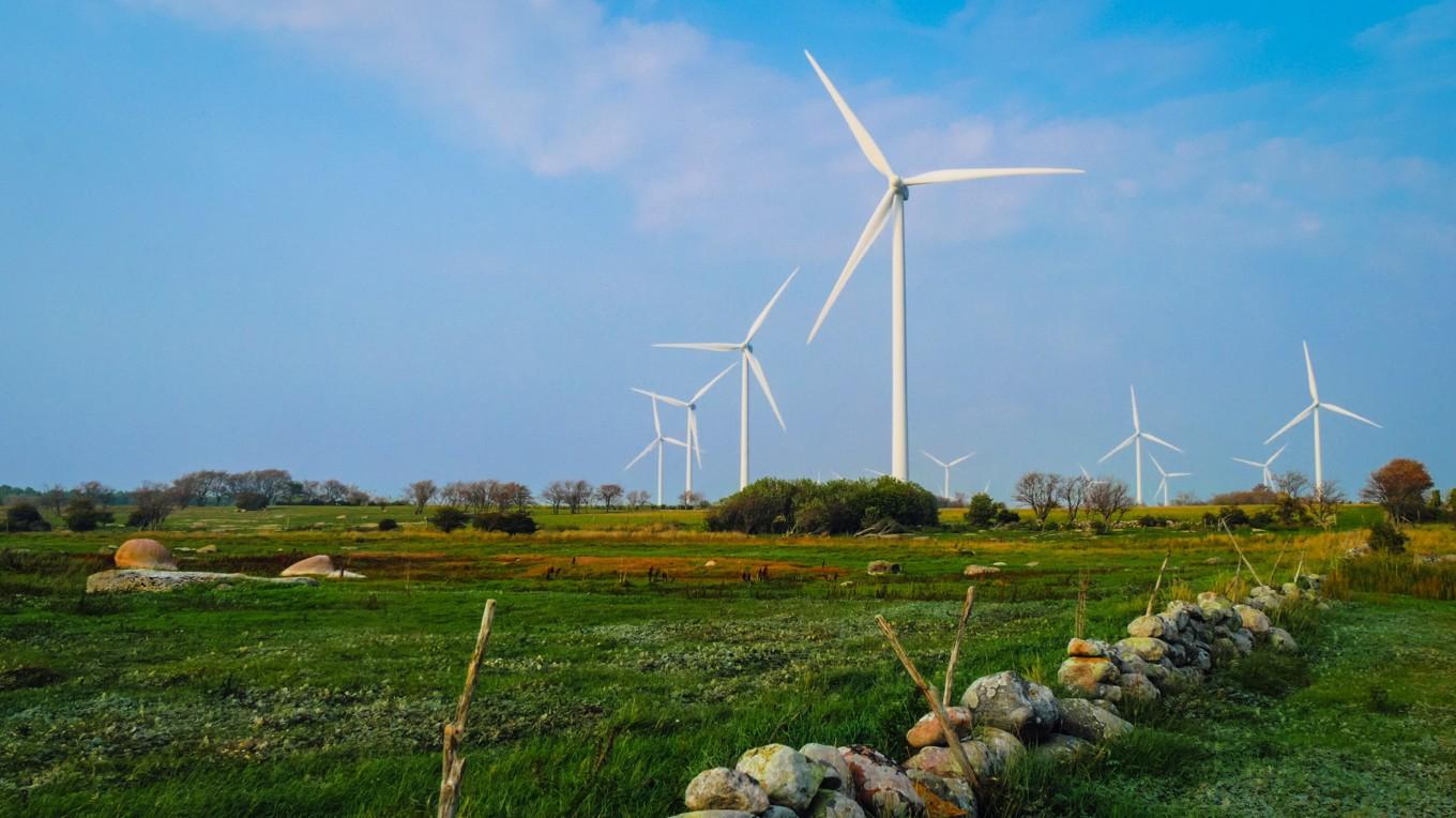 Vindkraftverk på Gotland. Foto: Bilbo Lantto