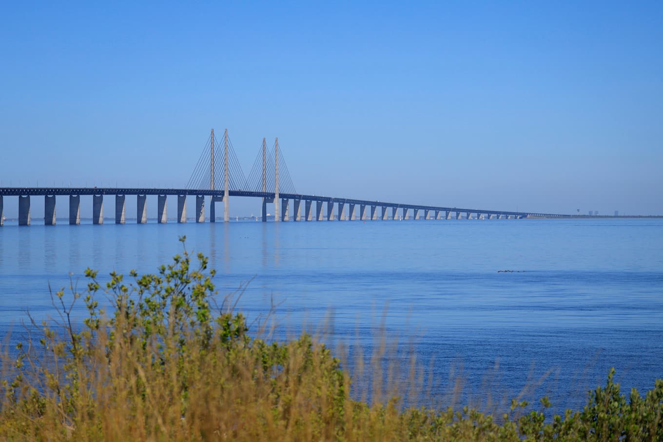 Öresundsbron. Arkivbild. Foto: Andreas Hillergren/TT