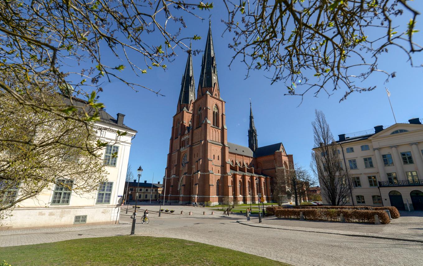 Svenska kyrkan uppmanar sina församlingar att i samband med söndagens gudstjänst göra en förlängd klockringning för fred i Gaza. Arkivbild. Foto: Bertil Ericson/TT