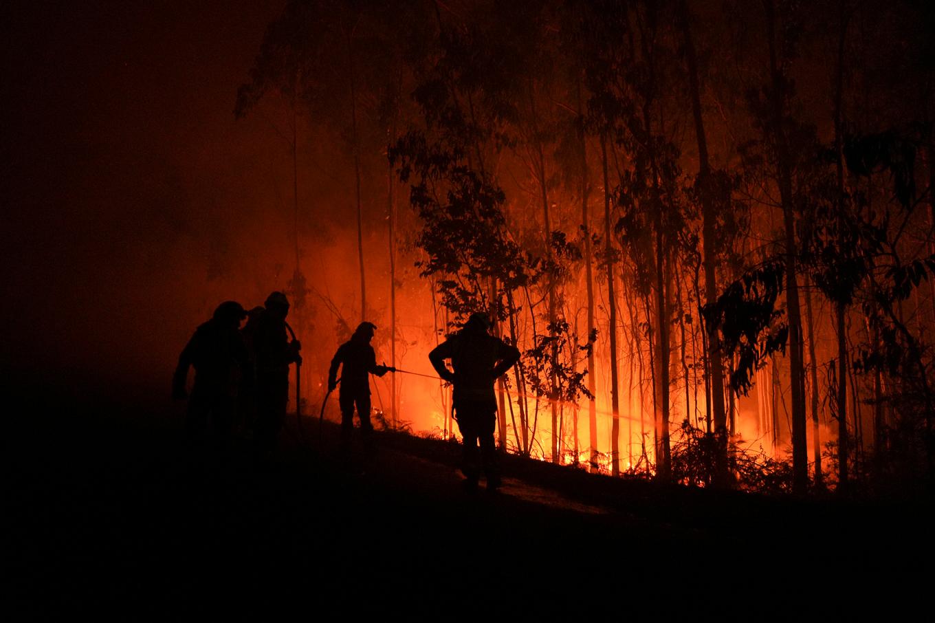 Räddningstjänsten bekämpar en skogsbrand i Fuente de Faro de Brantuas i Brantura i nordvästra Spanien. Bilden är tagen den 3 augusti. Foto: Gustavo de la Paz/AP/TT