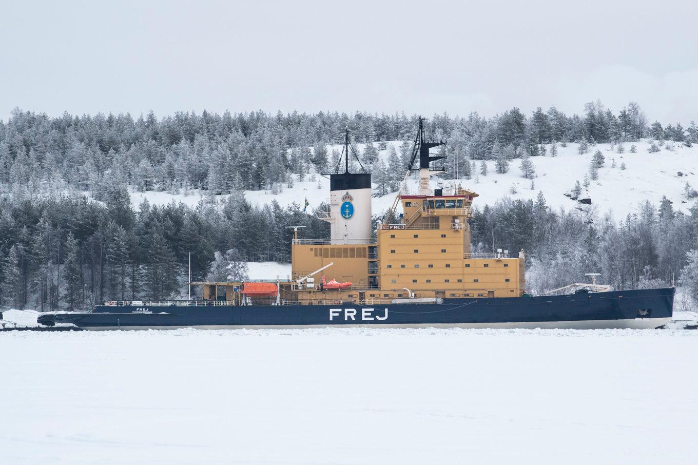 Sjöfartsverkets isbrytare Frej vid kaj i hamnen i Luleå. Arkivbild. Foto: Pontus Lundahl/TT
