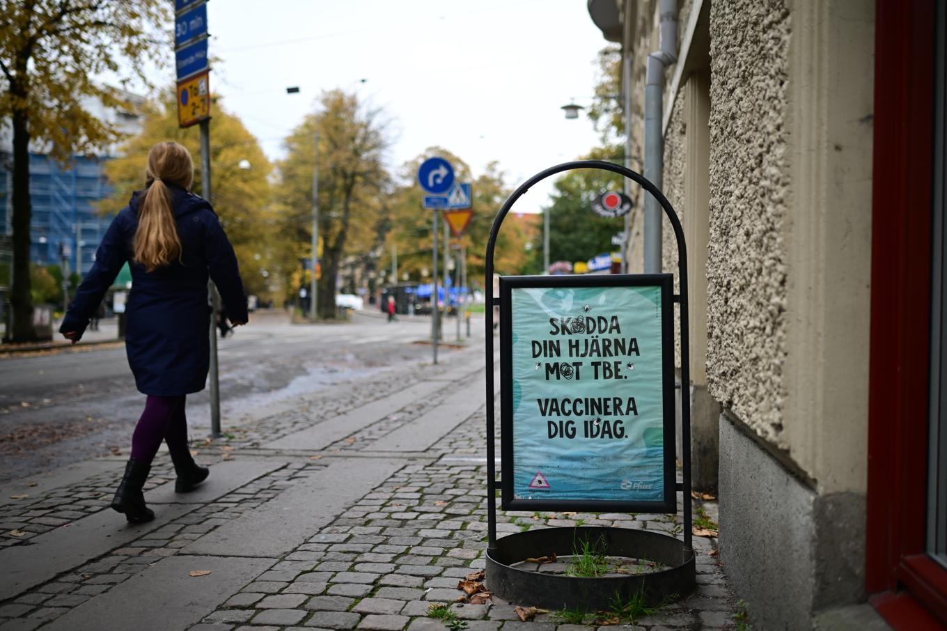 Vaccin mot TBE rekommenderas av Regionernas smittskyddsenheter. Arkivbild. Foto: Björn Larsson Rosvall/TT