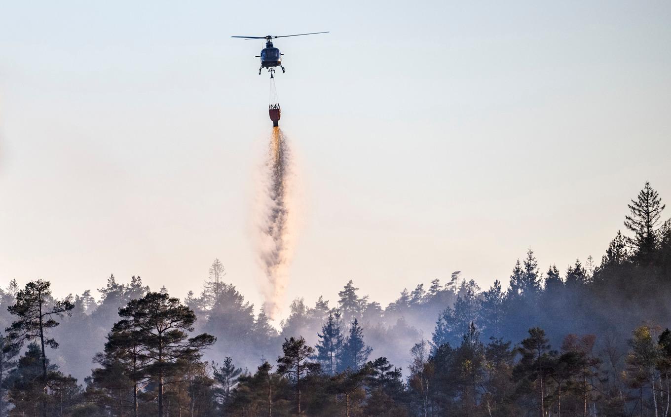 Risken för bränder i skog och mark är stor eller mycket stor i delar av Sverige under torsdagen. Foto: Johan Nilsson/TT