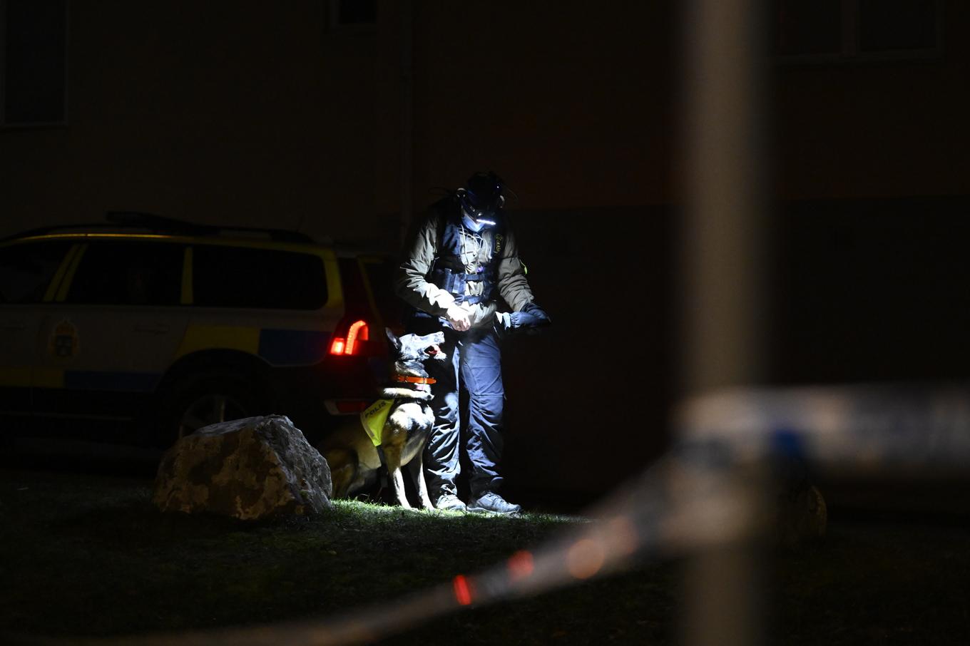 Polisen har använt brottsplatsundersökningshundar för att stoppa ligan men inte lyckats. Bilden är från ett annat tillfälle. Foto: Jessica Gow/TT