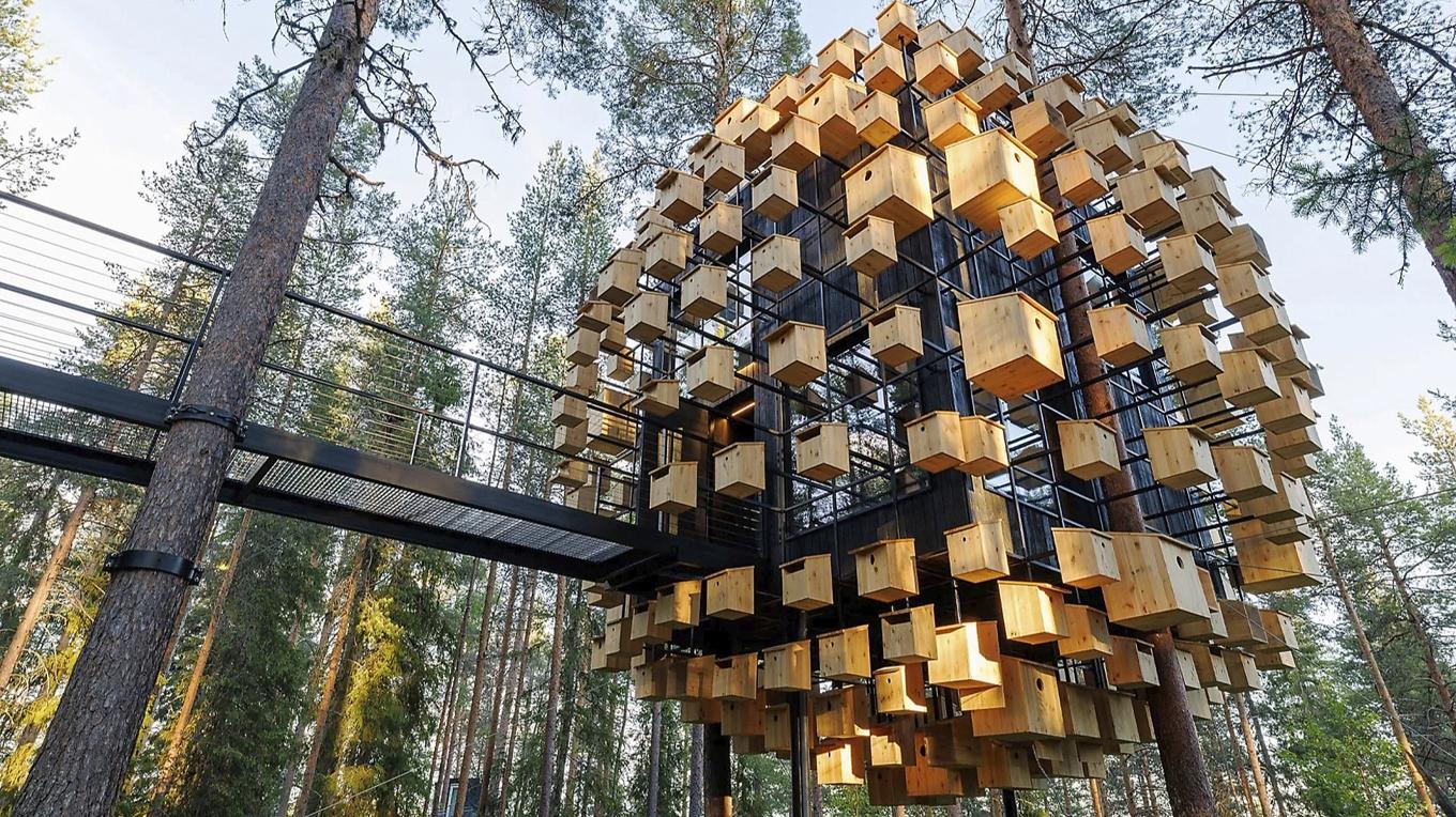 Treehotel i Harads i Norrbotten är ett exempel där idérikedom och envishet lett till satsningar som uppmärksammats i hela världen. Foto: Treehotel