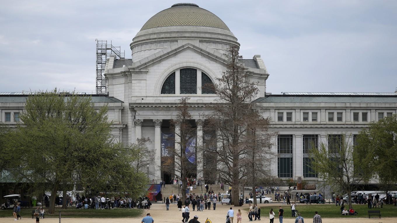 Smithsonian National Museum of Natural History i Washington DC. Foto: Kevin Dietsch/Getty Images
