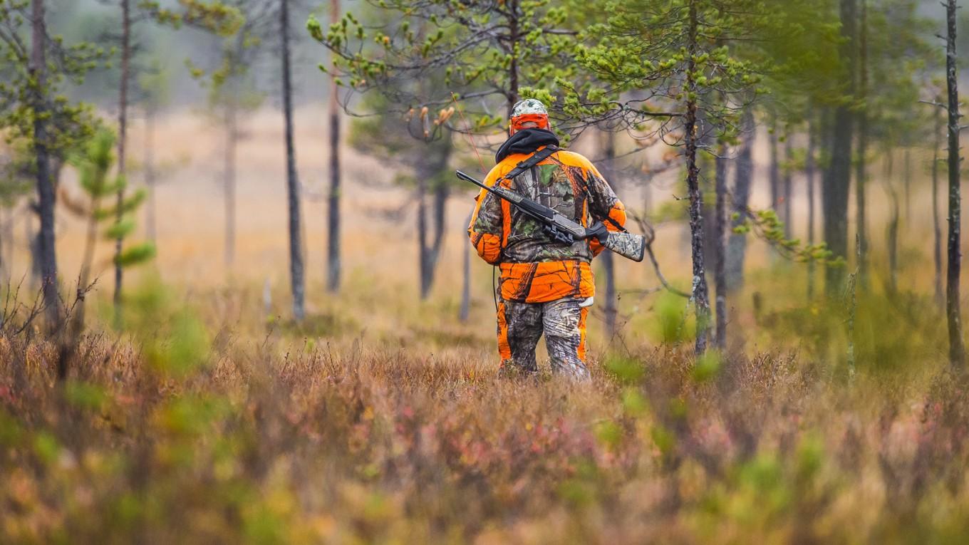 Jägarkåren är avgörande för svensk naturvård, skriver debattören. Foto: Robert Nyholm/Shutterstock