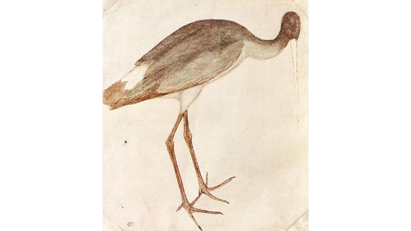 Målning av Pisanello (1395–1455). Foto: Public Domain
