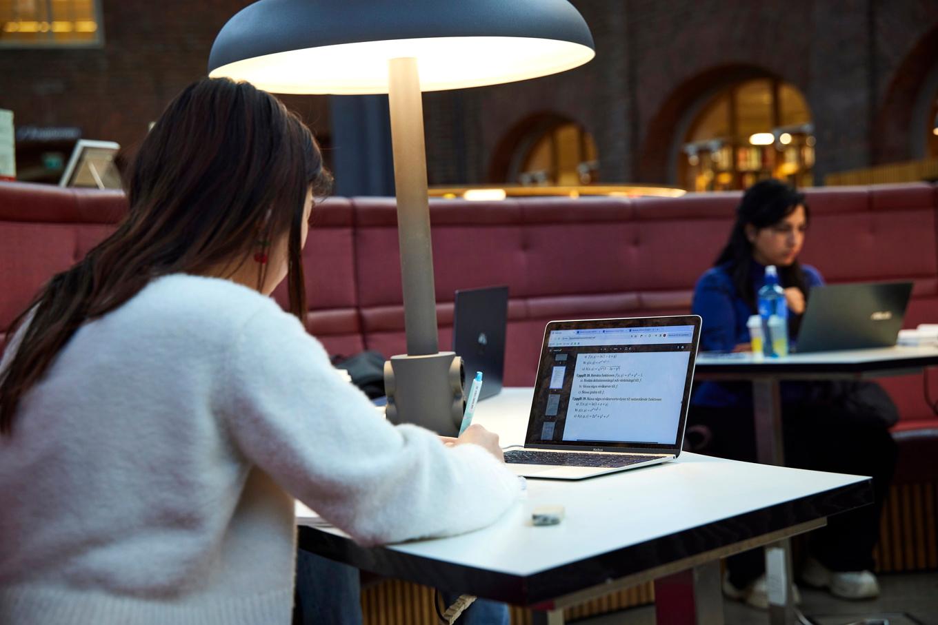 Allt fler studenter stannar i Sverige. Intresset för utlandsstudier är svalare än tidigare, enligt CSN. Foto: Fredrik Persson/TT