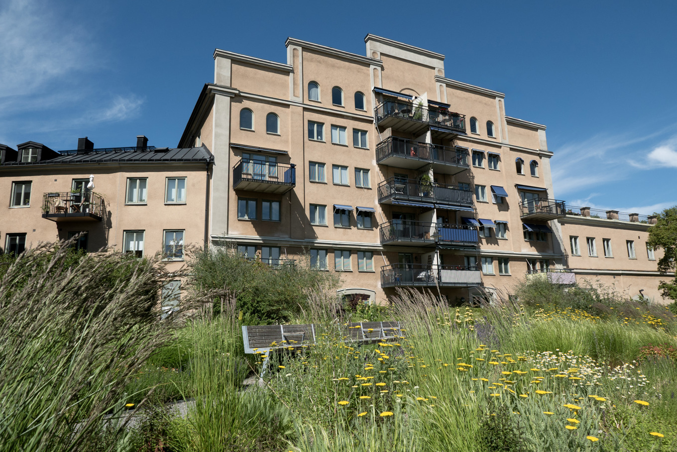 Bostadshus på Reimersholmsgatan på Reimersholme i Stockholm. Arkivbild. Foto: Gabriella Bruske/TT