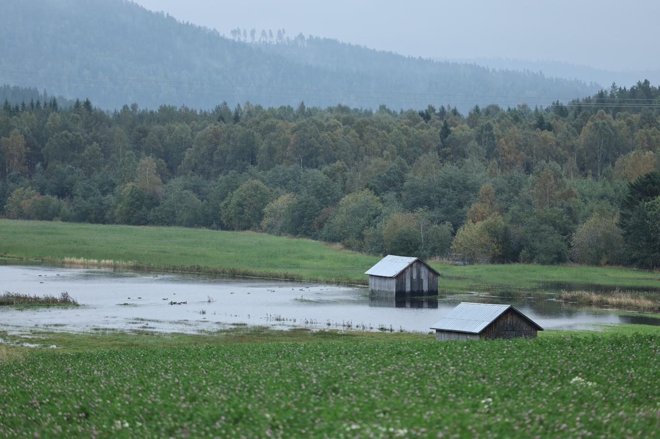 Vattensamlingar på åker i närheten av byn Kubbe, nordväst om Örnsköldsvik, som drabbats hårt av söndagens skyfall över Västernorrland. Foto: Caisa Rasmussen/TT