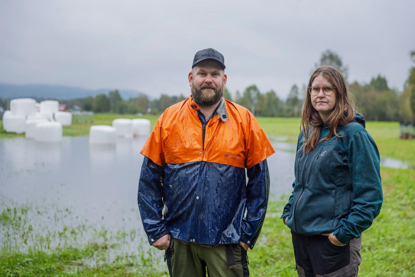 Björn och Elin Mårtensson i Kubbe framför de flytande ensilagebalarna som fick fångas in hastigt när vattnet steg. Foto: Caisa Rasmussen/TT