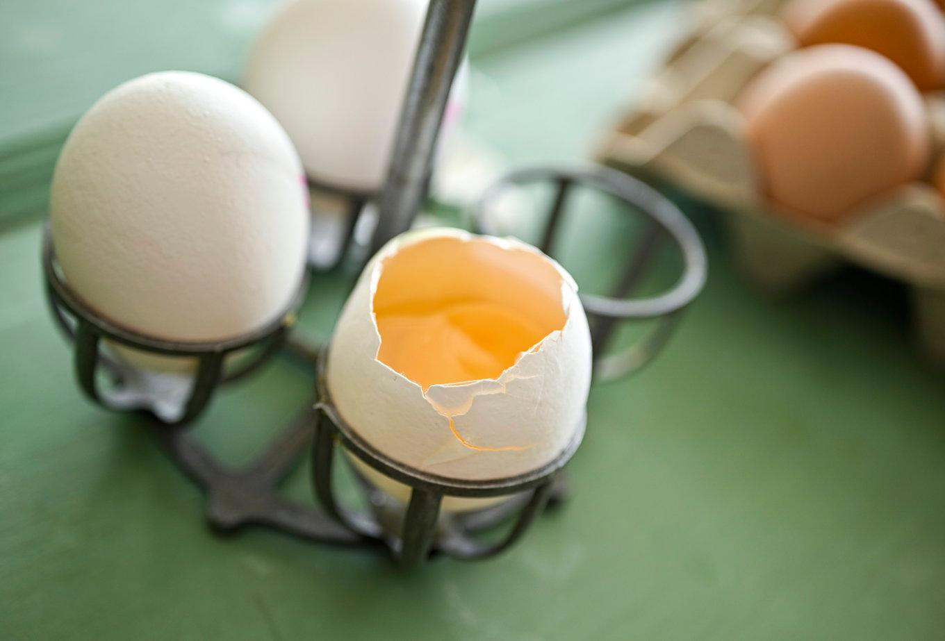 Ägg kan innehålla salmonella men om de upphettas ordentligt. Foto: Johan Nilsson/TT