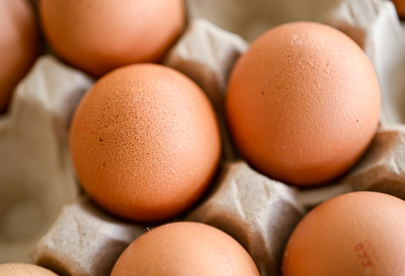 Ägg tros vara boven bakom salmonellautbrottet. Arkivbild. Foto: Johan Nilsson/TT