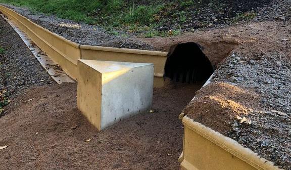 Delar av väg 957 på Öland stängs av när Trafikverket ska bygga tre amfibiepassager för kräl- och groddjur. Foto: Trafikverket