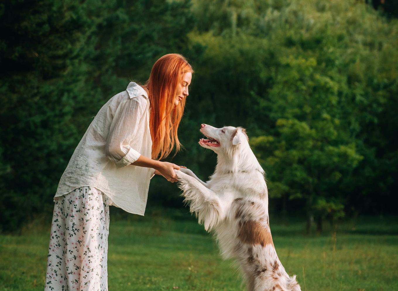 Samspel, respekt, glädje och stimulerande aktiviteter är viktiga delar för att du och din hund ska må bra och utvecklas tillsammans. Foto: Shutterstock
