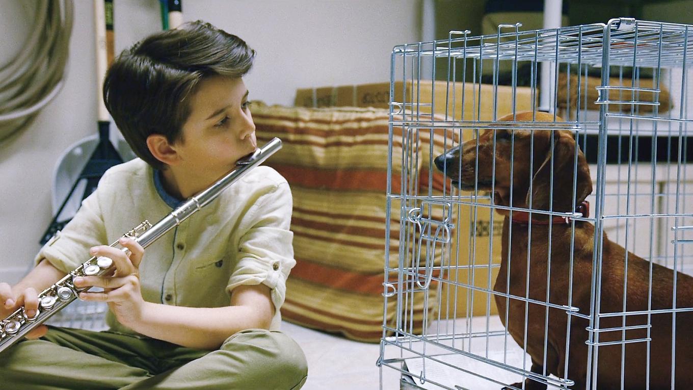 I ”Wiener-dog” spelar konsten en stor roll. Liksom hunden blir konsten till ett andens hotade reservat. Foto: Skärmbild