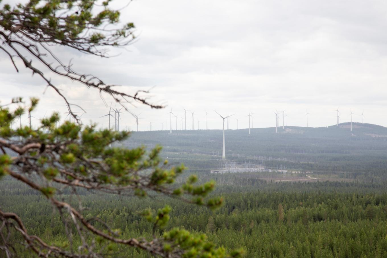 Vindkraftverk utanför Piteå. Arkivfoto. Foto: Helena Landstedt/TT