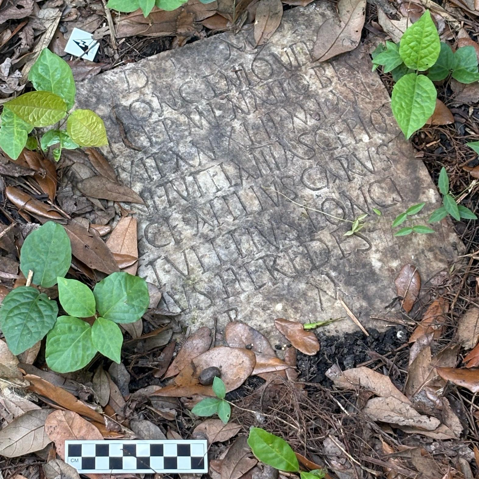 Sextus Congenius Verus 1 900 år gamla gravsten. Foto: Susann Lusnia/AP/TT