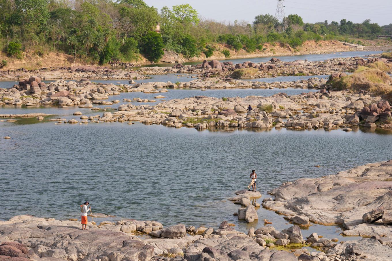 Ghuwara i den indiska delstaten Madhya Pradesh. Arkivbild. Foto: Rajesh Kumar Singh/AP/TT