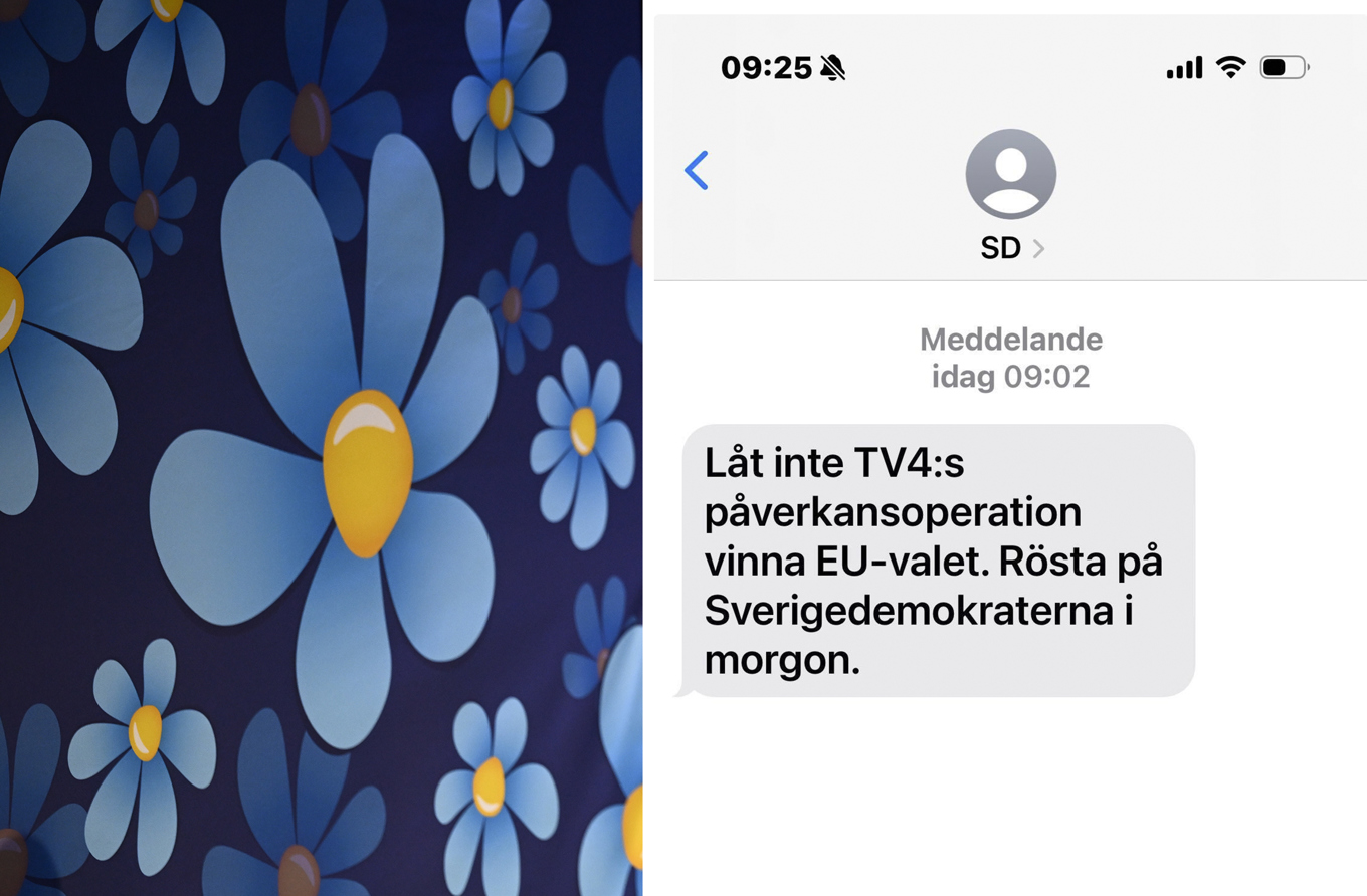 Sverigedemokraterna och Moderaternas sms och e-post-utskick gör intrång i privatlivet, enligt Integritetsskyddsmyndigheten. Foto: TT