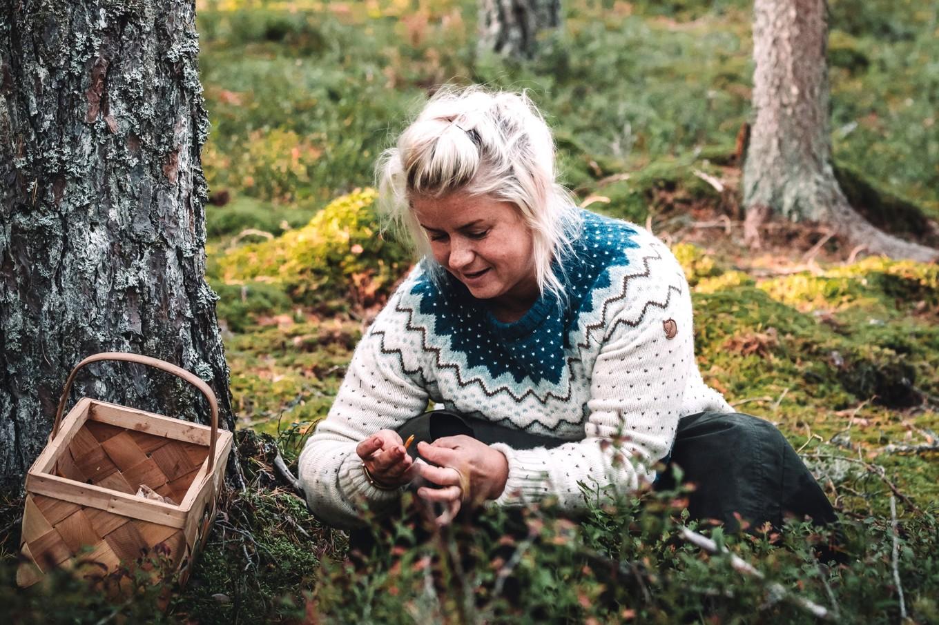 Högsäsong i svampskogen ger förråd för hela året. Foto: Rania Rönntoft