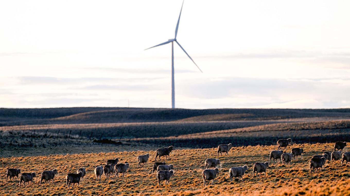 Vindkraftverk i delstaten New South Wales, Australien. Vindkraften ska växa kraftigt i landet. Foto: Saeed Khan/AFP via Getty Images