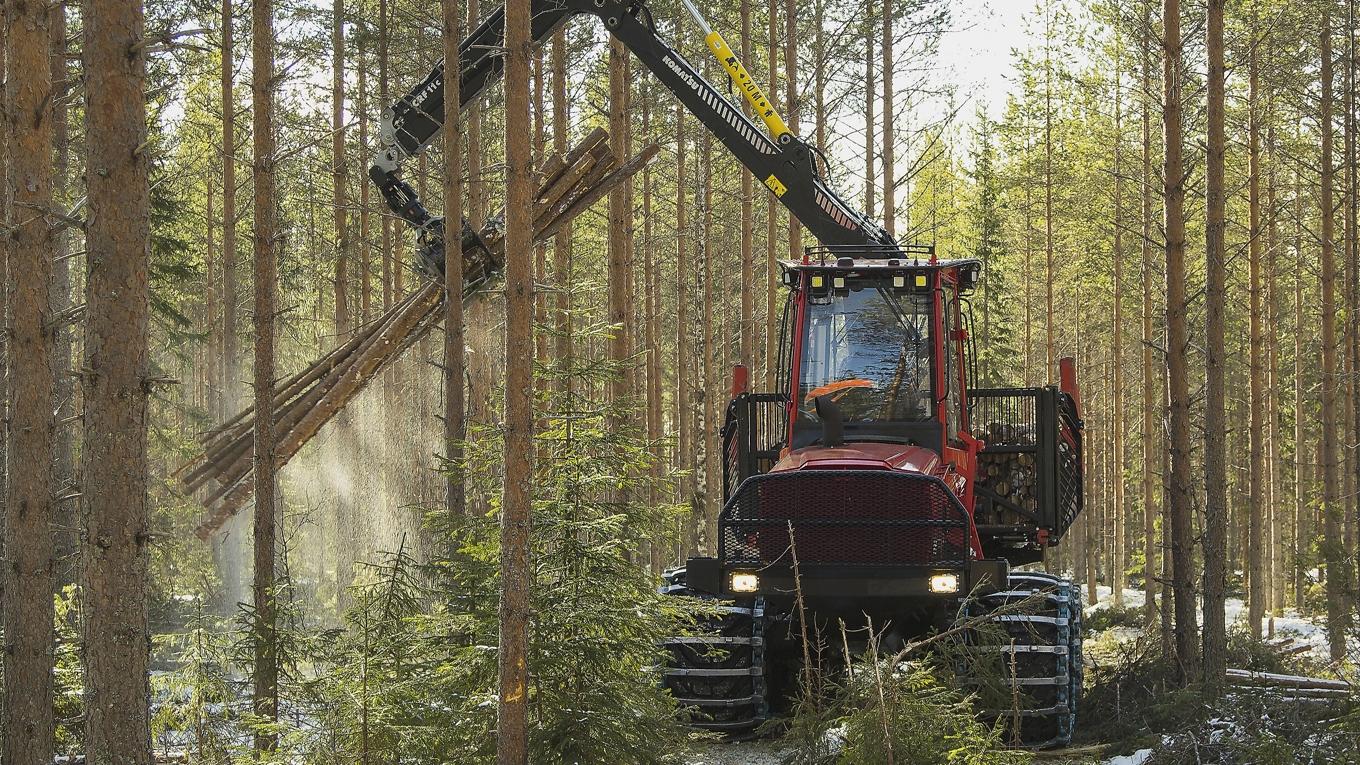 Skogsägare pressar regeringen att se över ett antal regler såsom artskyddsförordningen. Foto: Skogsstyrelsen