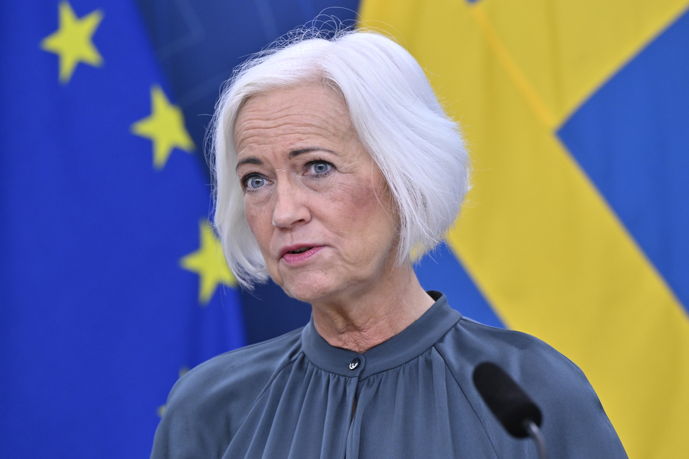 Den tidigare sjukvårdsministern Acko Ankarberg Johansson blir chef för länsstyrelsen i Västmanland. Foto: Christine Olsson/TT