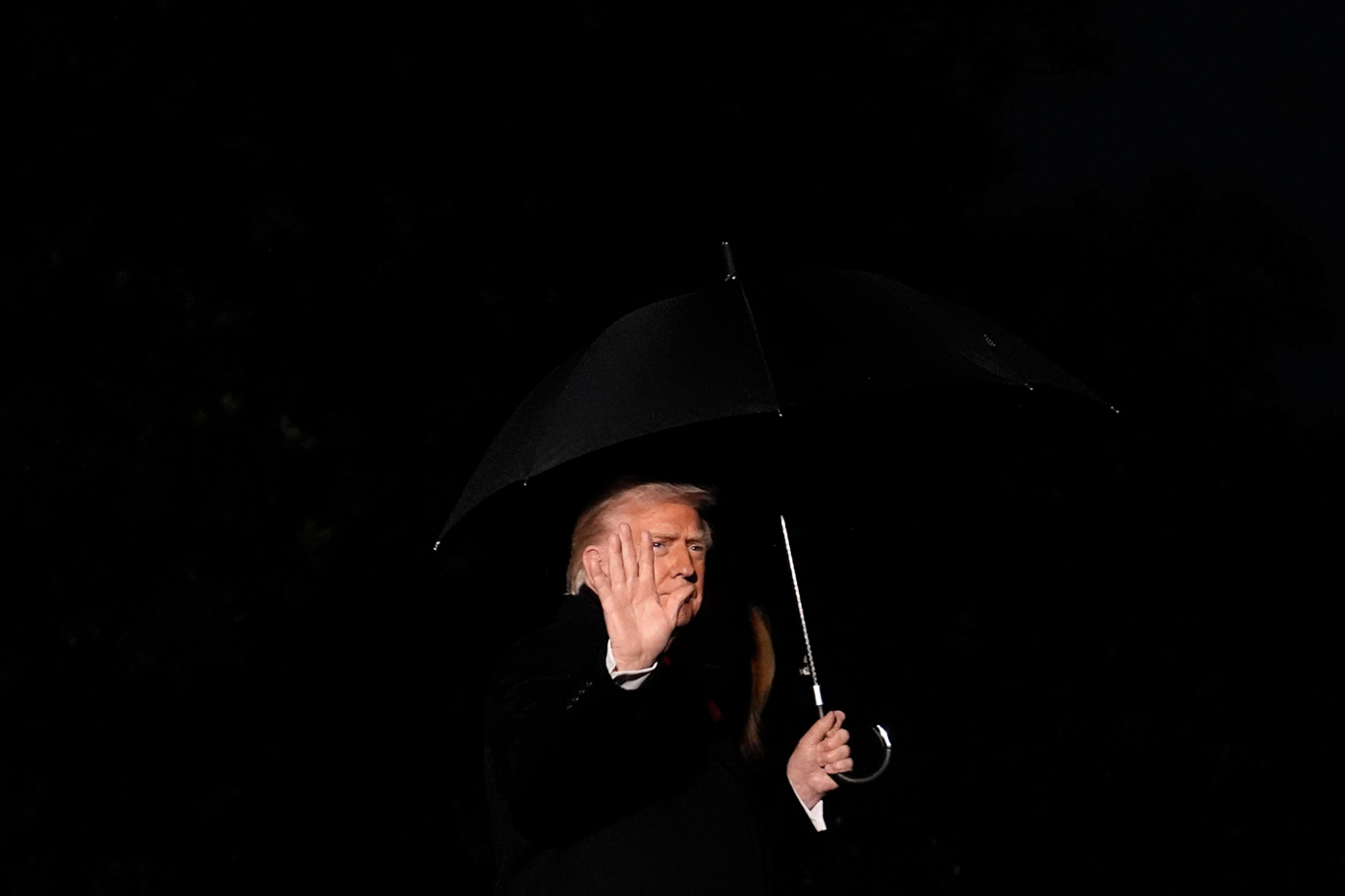 USA:s president Donald Trump. Foto: Julia Demaree Nikhinson/AP/TT