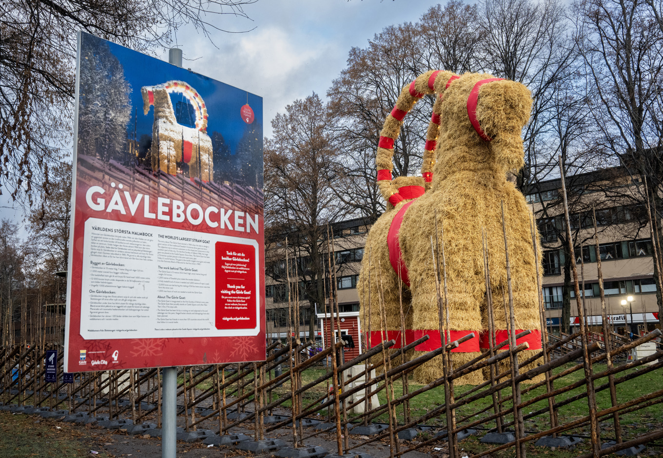 Nu är invigningen av årets Gävlebock klar. Bilden togs i lördags. Foto: Jonas Ekströmer/TT