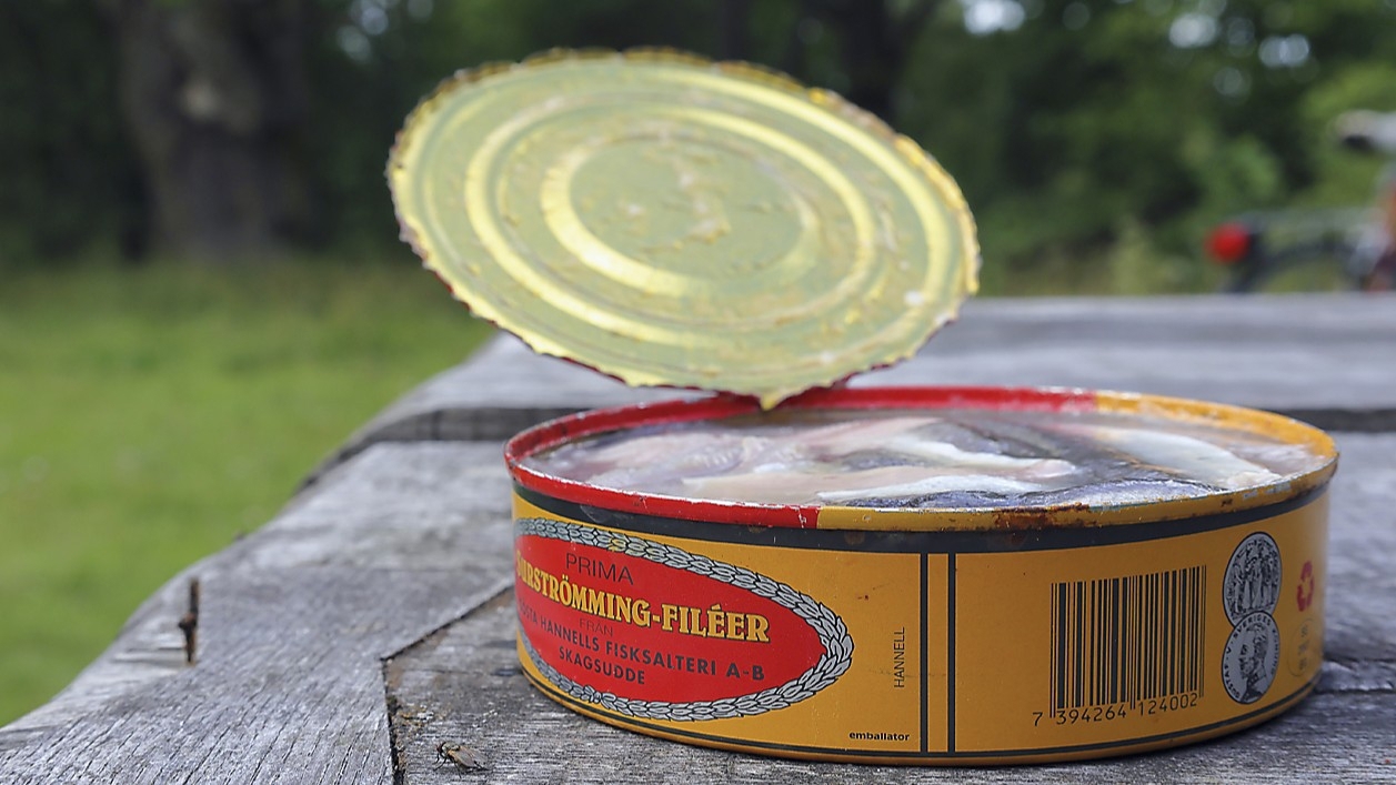 Ica vill inte längre köpa surströmming från garn- och nätfiske i Bottniska viken, utan enbart MSC-certifierad strömming från trålare, skriver Strömberg Juth. Foto: Shutterstock