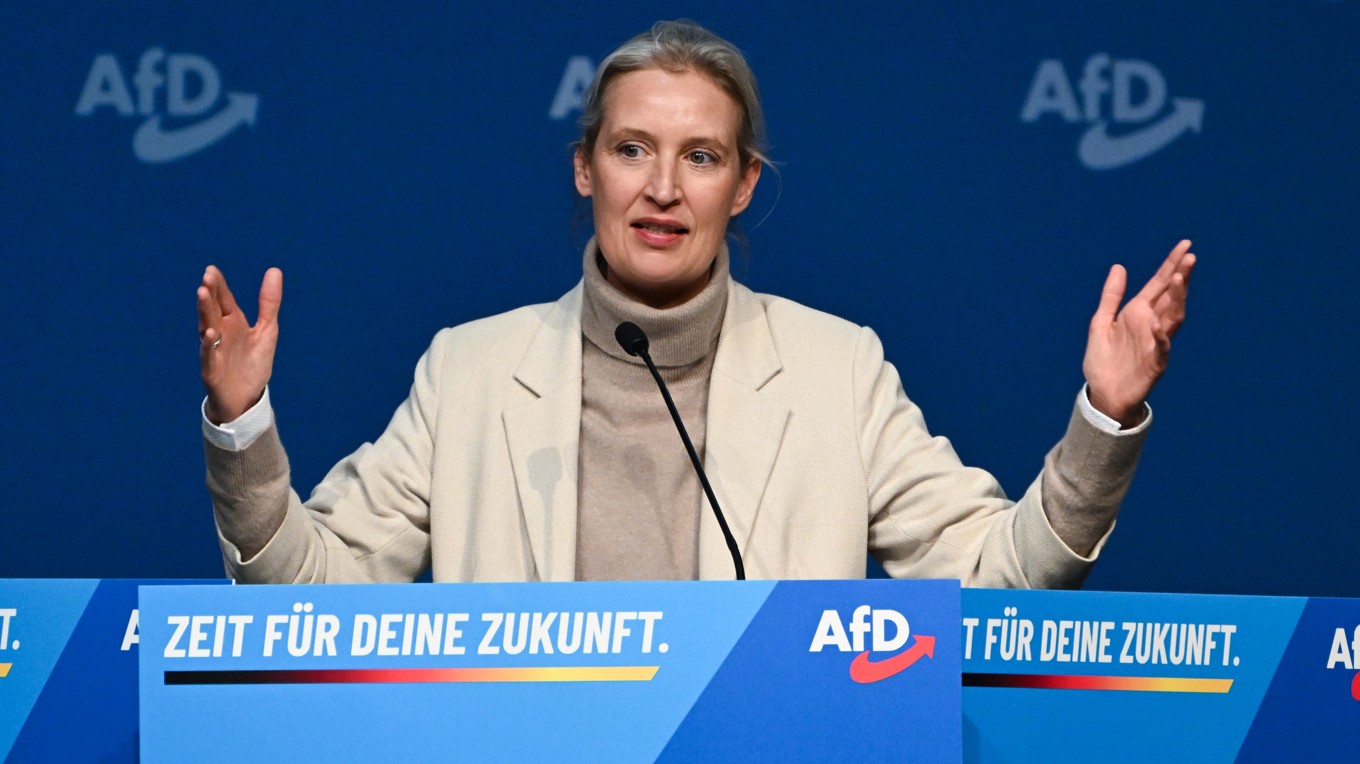 Alice Weidel, en av partiledarna för AFD. Foto: Florian Wiegand/Getty Images