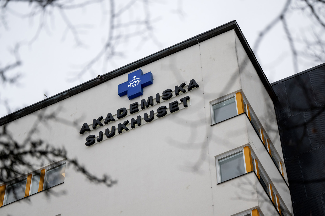 Akademiska sjukhuset i Uppsala. Foto: Christine Olsson/TT