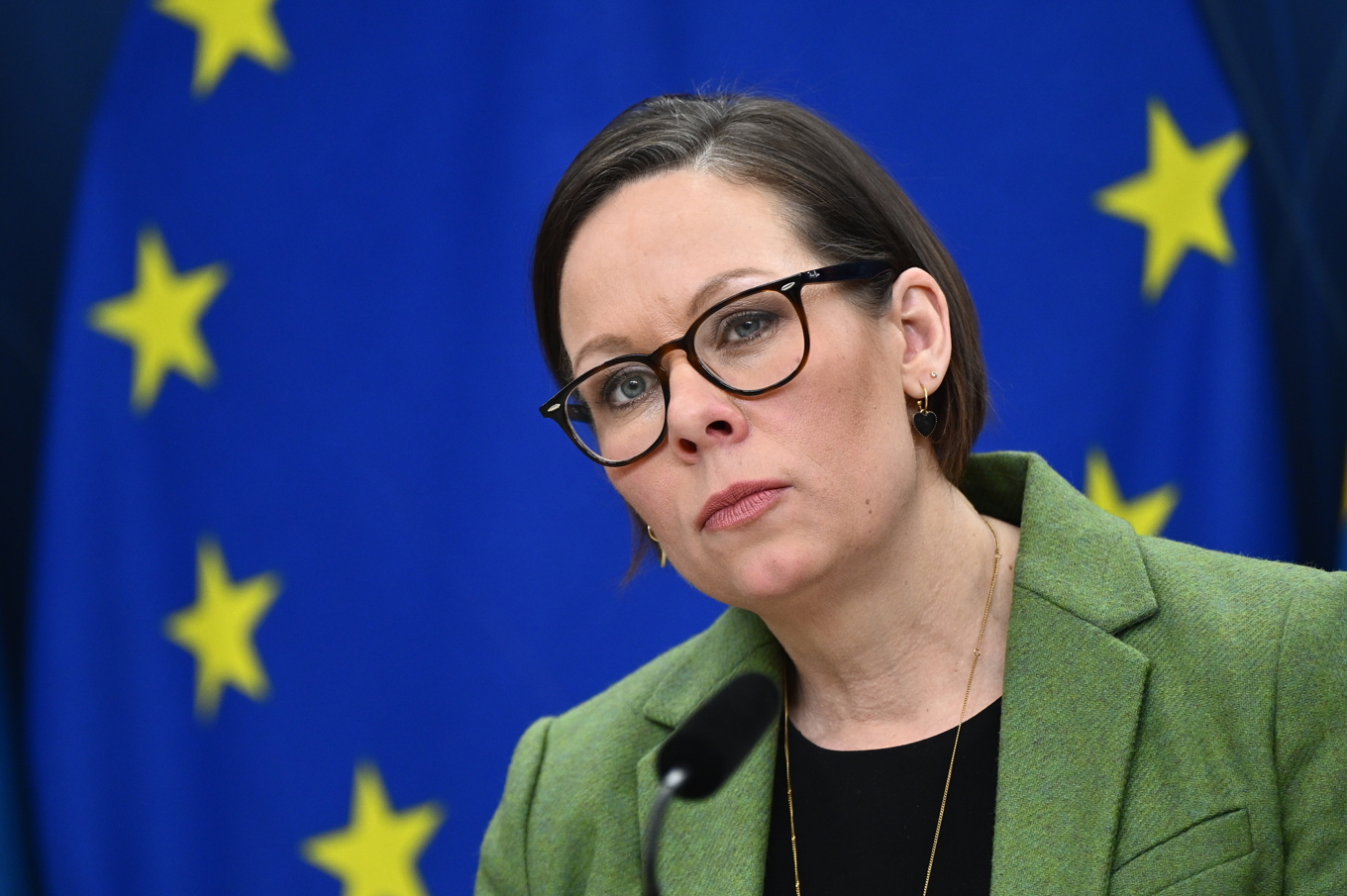 Utrikesminister Maria Malmer Stenergard (M). Arkivbild. Foto: Anders Wiklund/TT
